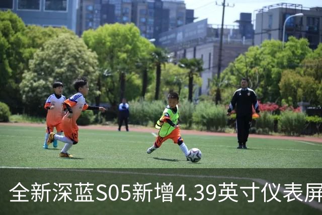全新深蓝S05新增4.39英寸仪表屏 已上线官方商城